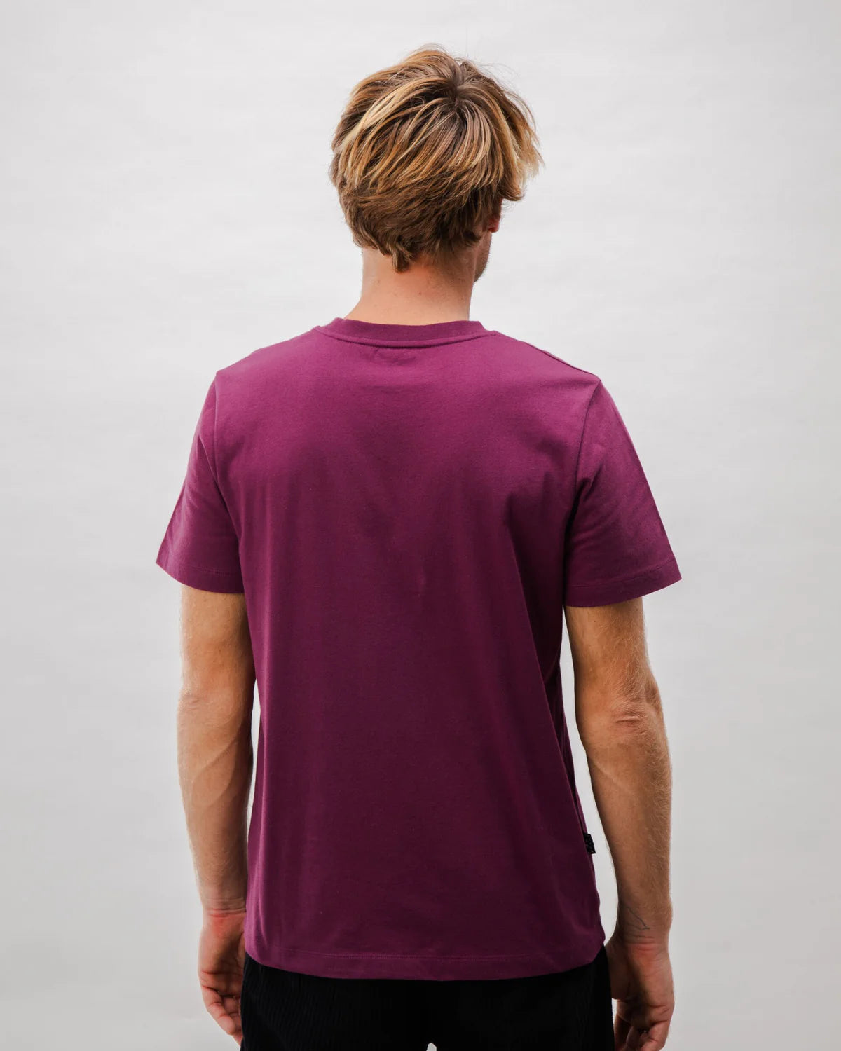 Tricou SALUT Grape